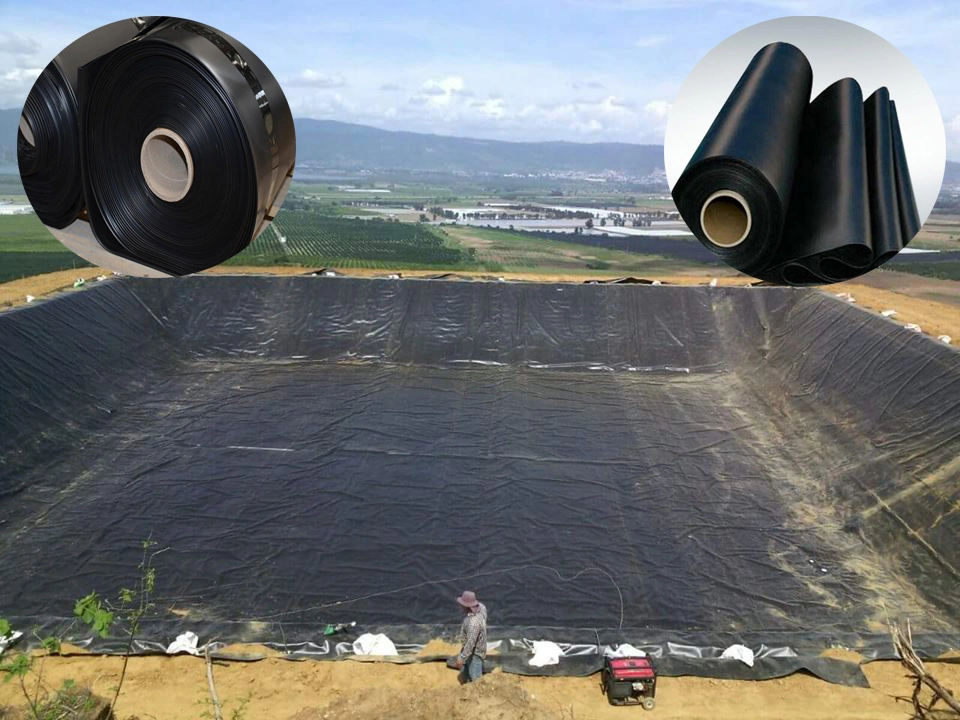 Αδιάβροχο πλαστικό LDPE/LLDPE/PVC/HDPE Geomembrane για την τιμή εργοστασίων σκαφών της γραμμής λιμνών γαρίδων