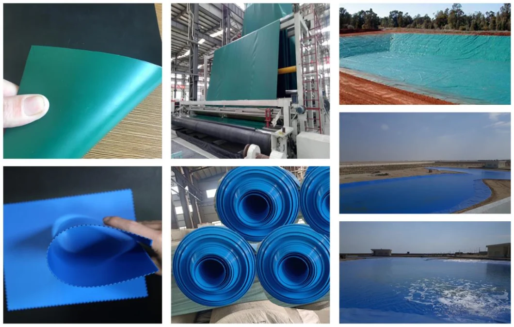 Αδιάβροχο πλαστικό LDPE/LLDPE/PVC/HDPE Geomembrane για την τιμή εργοστασίων σκαφών της γραμμής λιμνών γαρίδων