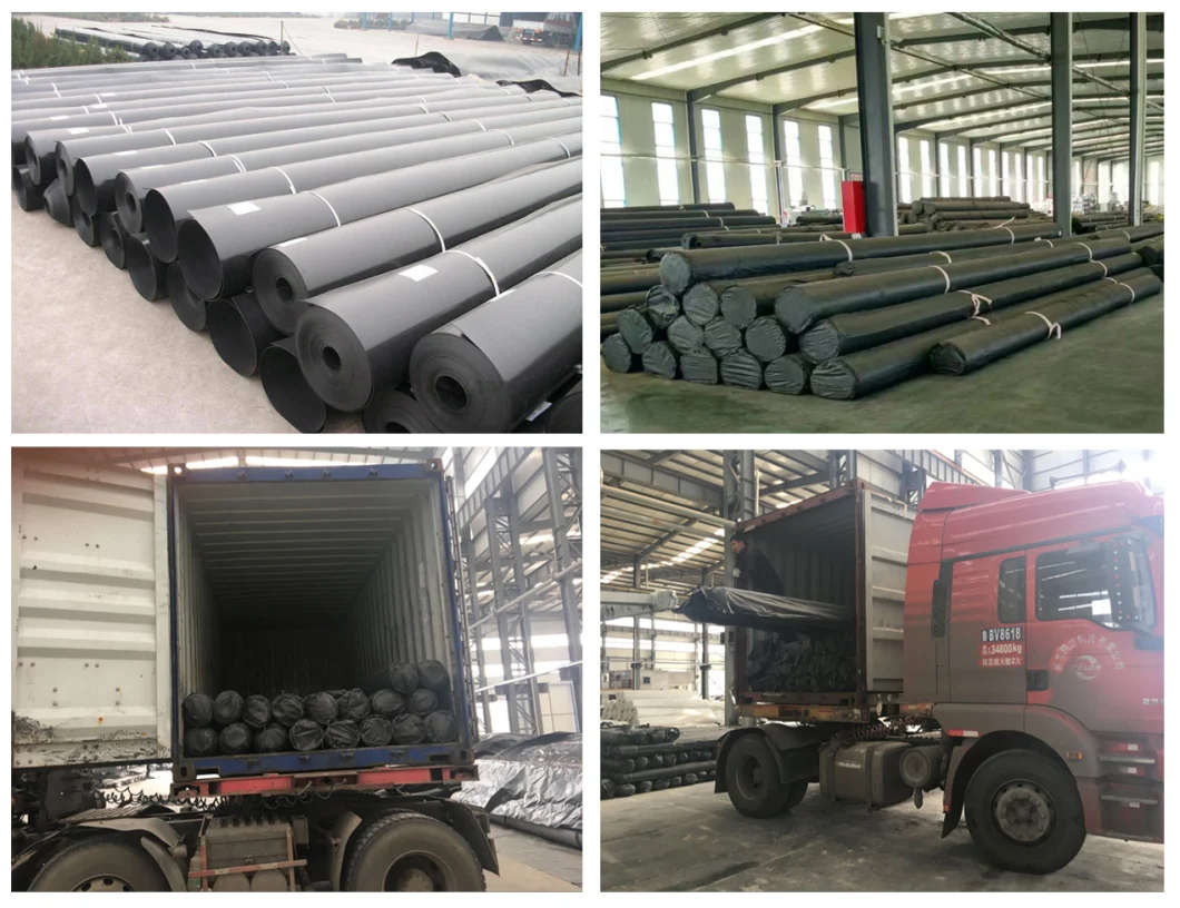 Αδιάβροχο πλαστικό LDPE/LLDPE/PVC/HDPE Geomembrane για την τιμή εργοστασίων σκαφών της γραμμής λιμνών γαρίδων