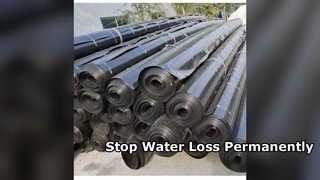 Stop Water Loss 0 5mm LDPE Pond Liner for Irrigation