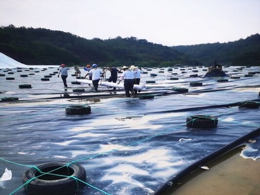 1.5mm Γεωμεμβράνη HDPE με Εξειδικευμένη Χημική Αντοχή για Πετάσματα Εξόρυξης