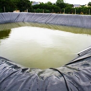 Ανθεκτικό υδρογονάνθρακα HDPE Geomembrane Liner Γεωργική Φάρμα Liner λίμνης για την ασφαλή αναπαραγωγή υδατοκαλλιέργειας