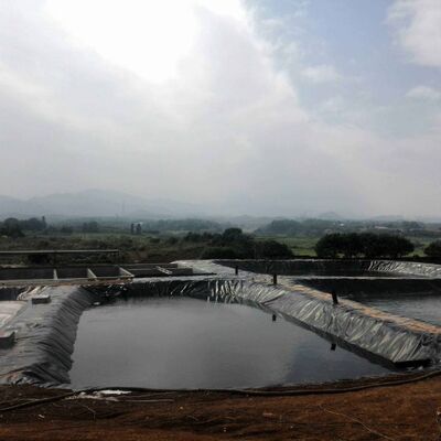 Ανθεκτικό υδρογονάνθρακα HDPE Geomembrane Liner Γεωργική Φάρμα Liner λίμνης για την ασφαλή αναπαραγωγή υδατοκαλλιέργειας