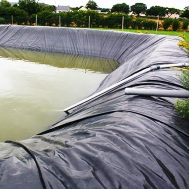 Root Barrier Αδιάβροχο φύλλο επένδυσης γεωμεμβράνης HDPE για μόνωση επαγγελματικών στεγών κήπου